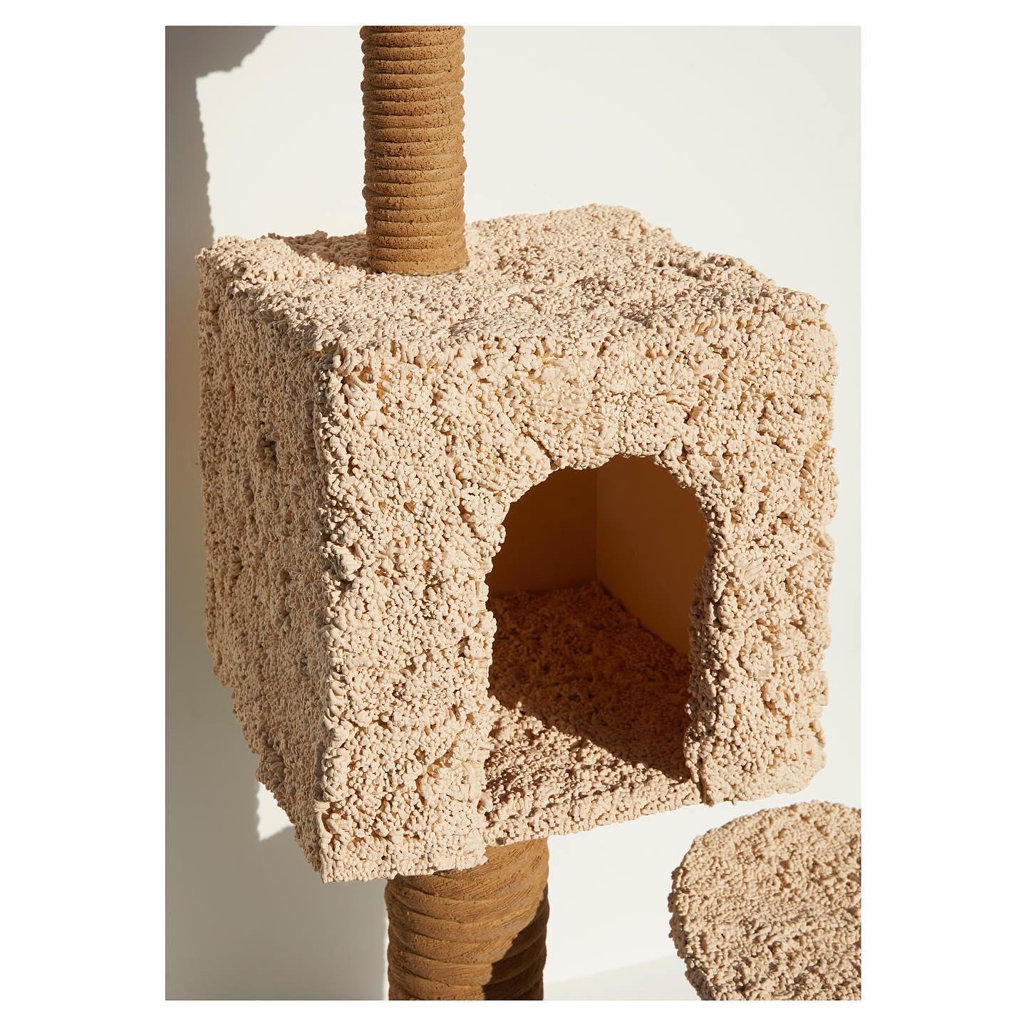 No cats — detail