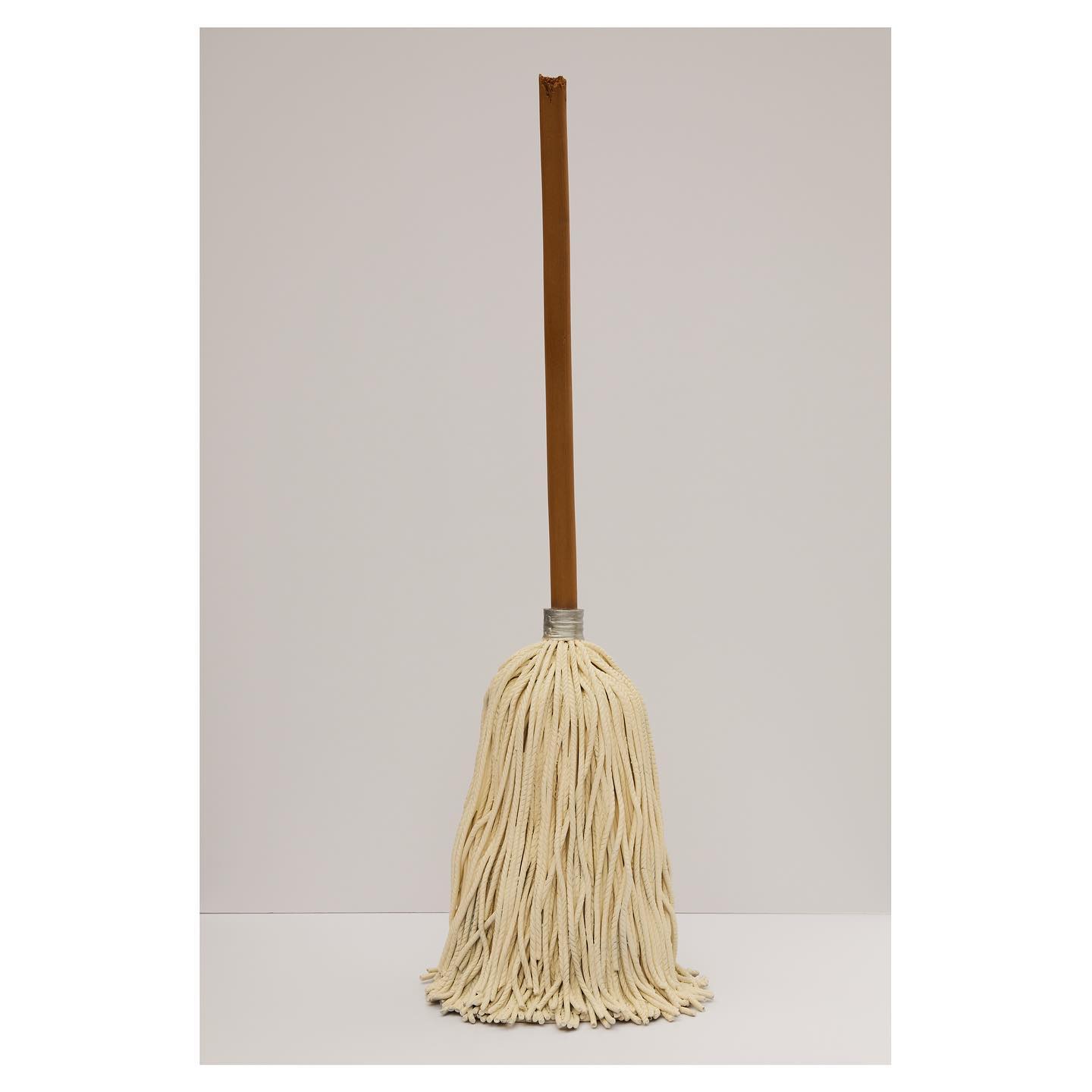 Mop